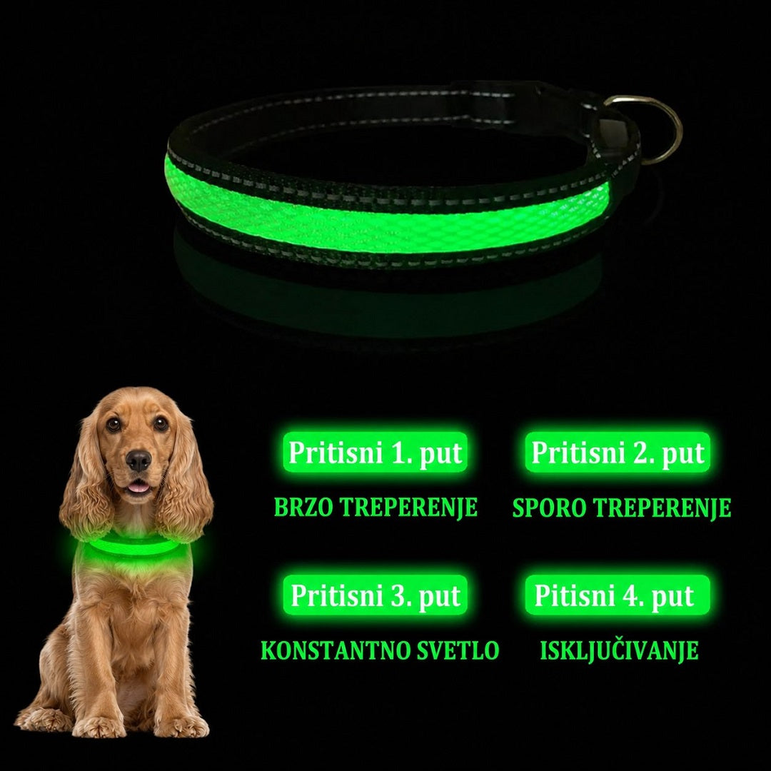 LED svetleća ogrlica za pse zelena