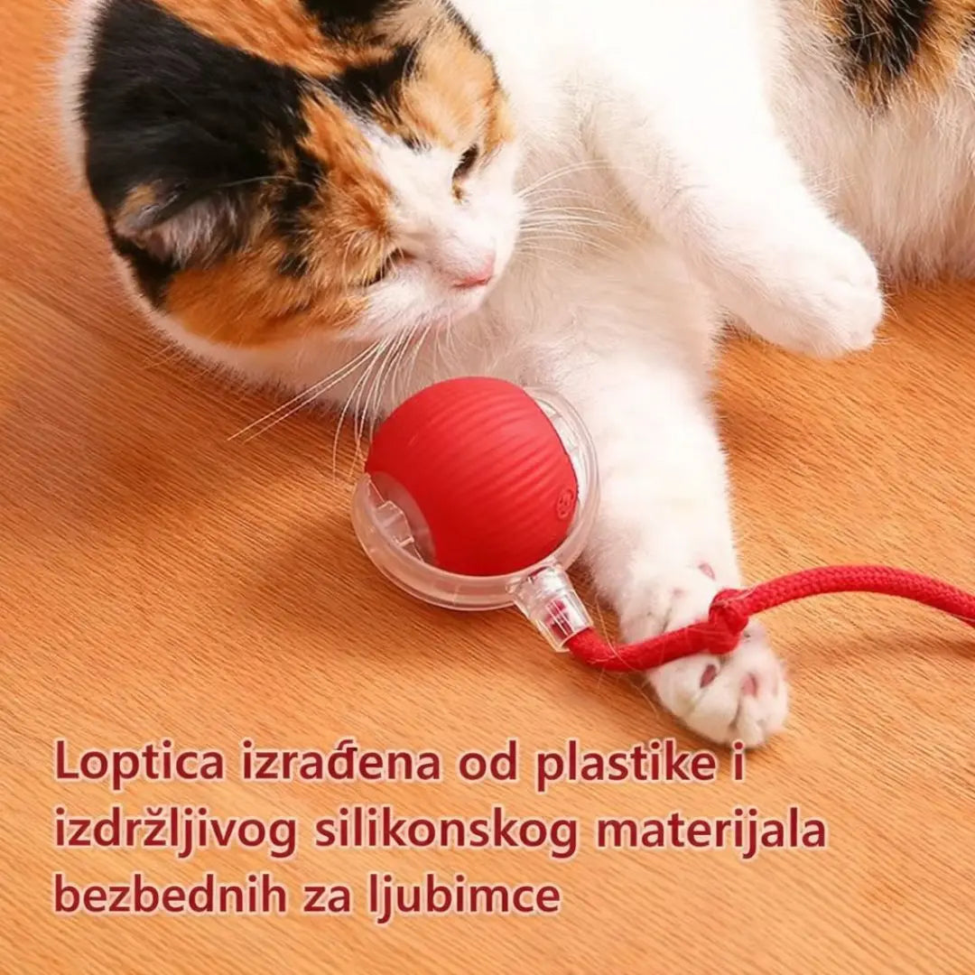 Pametna interaktivna loptica za mačke i pse Pametni Ljubimac